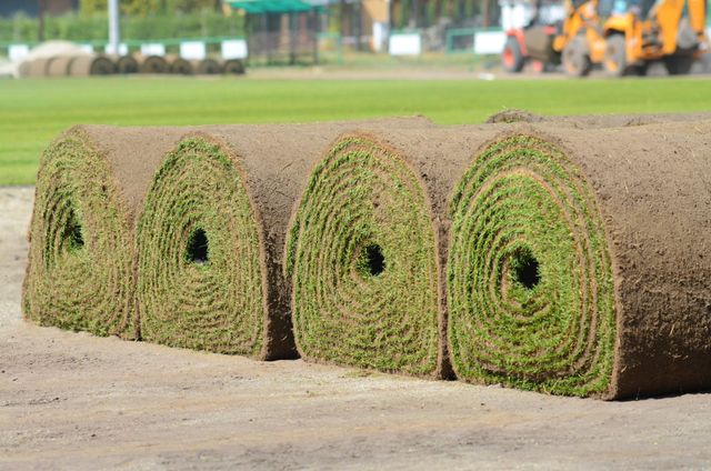 WATERING YOUR NEW SOD HOW WHEN AND HOW MUCH